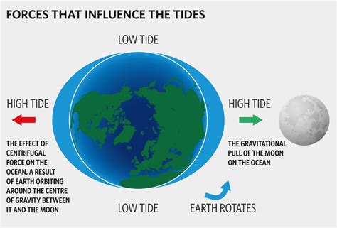 Why are there two tides a day?