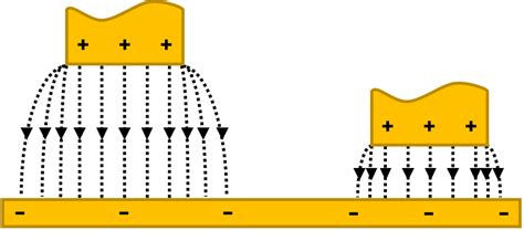 SKP and the Fringing Effect - BioLogic Learning Center