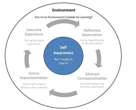 Modified Kolb Learning Cycle | Reading strategies anchor charts ...