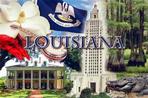 List of Louisiana Schools with Graphic Design Degree Programs | Animation Career Review