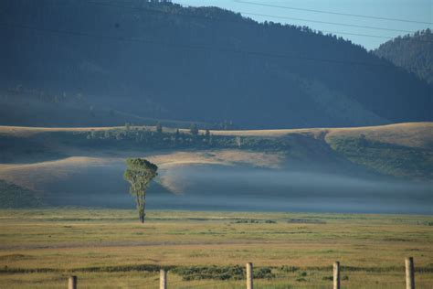 Summer first light on the National Elk Refuge, Jackson Hole, WY | National elk refuge, Natural ...