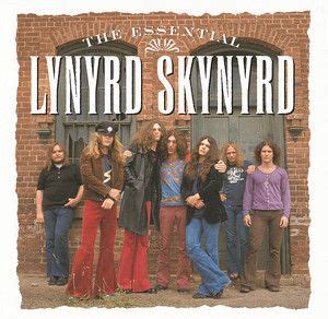 Simple Man, a song by Lynyrd Skynyrd on Spotify | Lynyrd skynyrd ...