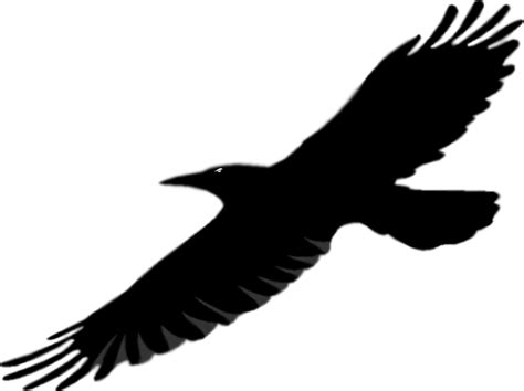 Free Raven Outline Cliparts, Download Free Raven Outline Cliparts png ...