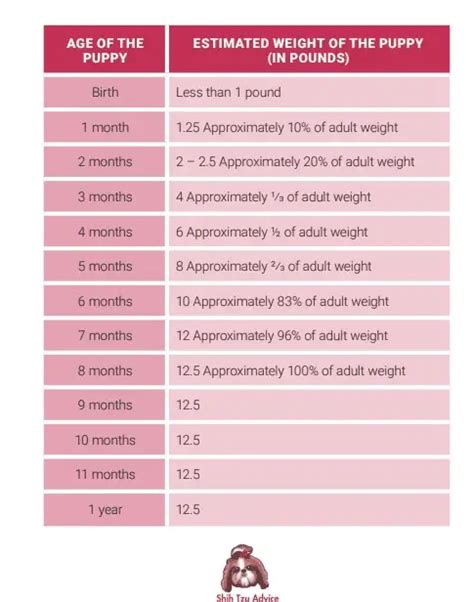 Shih Tzu Growth and Weight Chart PDF