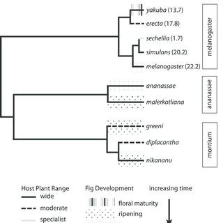 (PDF) The Evolution of Ovoviviparity in a Temporally Varying Environment