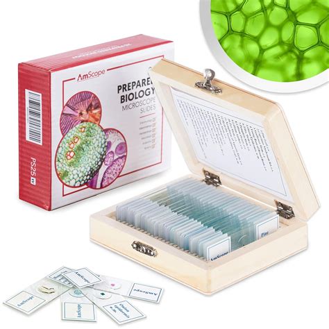 AmScope PS25 Prepared Microscope Slide Set for Basic Biological Science ...