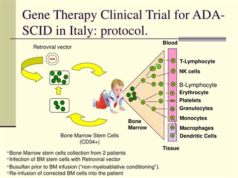 PPT - Gene therapy PowerPoint Presentation, free download - ID:5563150