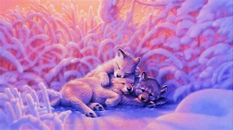 Cute Galaxy Wallpaper Wolf Super photography fantasy magic galaxies ideas photography