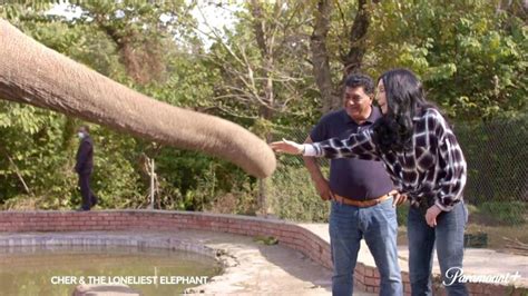 See Cher help 'world's loneliest elephant' in new documentary trailer