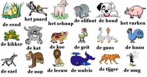 Animals - game - Dutch