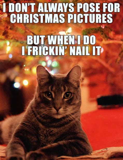 FUNNY CHRISTMAS CAT MEME "I FRICKIN' NAIL IT" FRIDGE MAGNET 5" X 3.5 ...