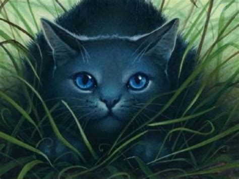 Bluestar from the Warrior Cats!, Do you think firestar was the right choice?