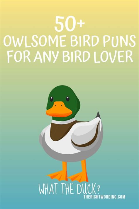 50+ Owlsome Bird Puns To Emu-se Your Friends | Bird puns, Love birds quotes, Puns