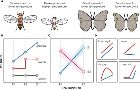 Frontiers | Genomics of Developmental Plasticity in Animals