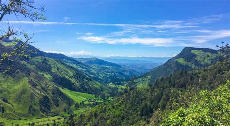 Hiking The Valle de Cocora in Colombia: A How-To Guide - Goats On The Road