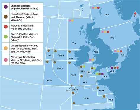 Delivering fishery improvements through Project UK | Marine Stewardship Council