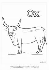 Ox Letter Trace Worksheets Coloring Oxen Activities Preschool Printable  sketch template