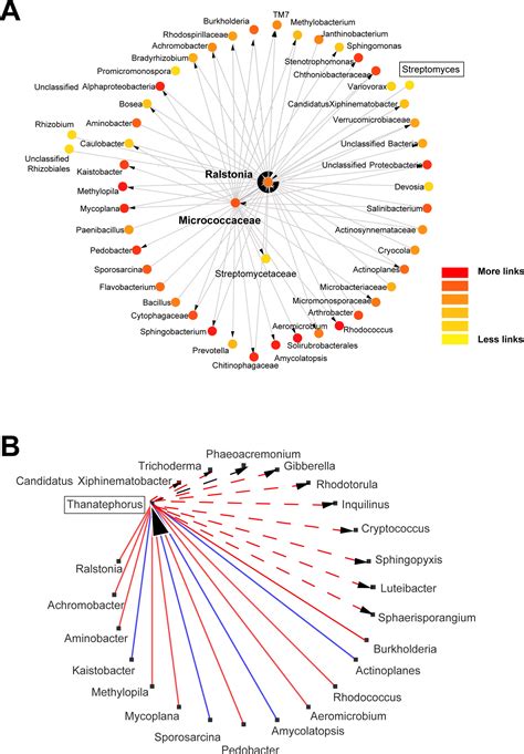 Fungi as biocontrol agents wikipedia - fecolradar