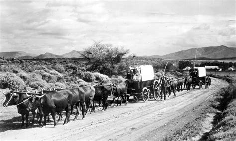 Type of Ox-wagon used During The Great Trek | Flickr - Photo Sharing! Lion Face Drawing, South ...