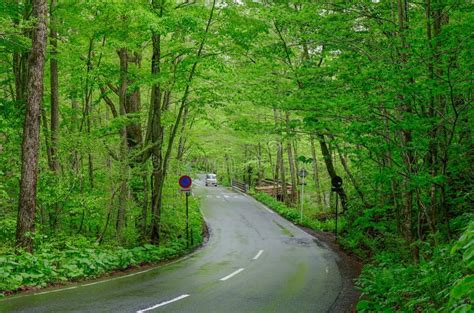 Oirase Gorge in Aomori, Tohoku, Japan Stock Photo - Image of mountain ...