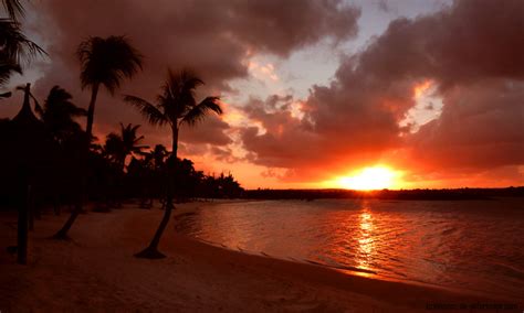 When god created the paradise he thought of Mauritius | Mauritius ...