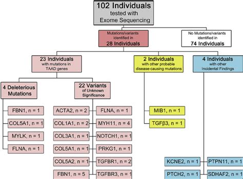 Summary of whole exome sequencing results. Note that 1 patient had both ...