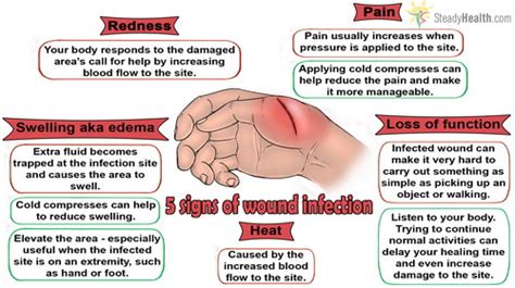 The Five Signs Of Wound Infection | Injuries, Fractures and Burns articles | Body & Health ...