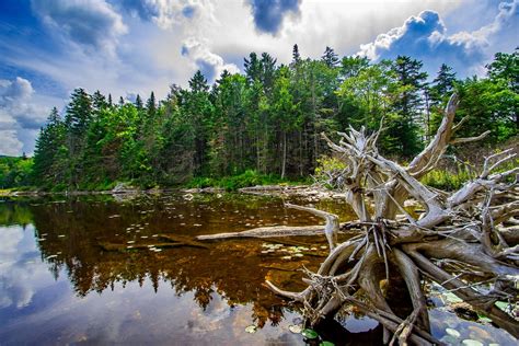 Green Mountain National Forest Vermont - The Travel Rangers