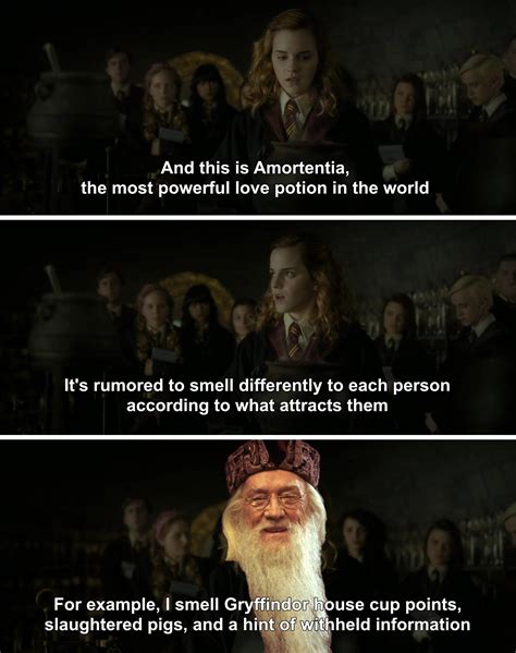 This is Amortentia : r/HarryPotterMemes