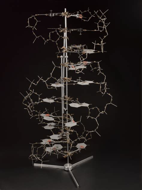 Why The Double Helix is still relevant - Science Museum Blog