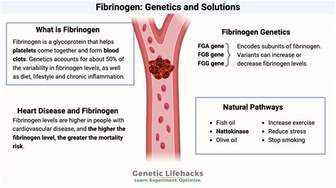 Elevated Fibrinogen: Genes and Blood Clots