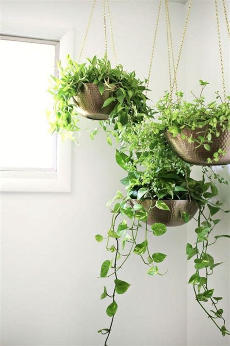 20+ beliebtesten DIY Indoor Garden Ideen für tolle Eindrücke bei Ihnen zu Hause | Indoor ...