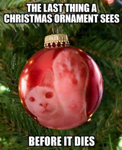 Hilarious Christmas Memes To Share On All Social Media