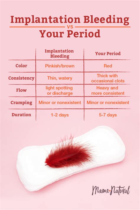 What Is Implantation Bleeding Photograph By Finda Topdoc | Images and Photos finder