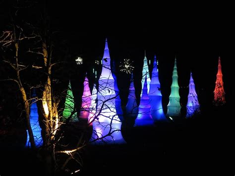 Christmas at Kew 2024 | Tickets and Lights