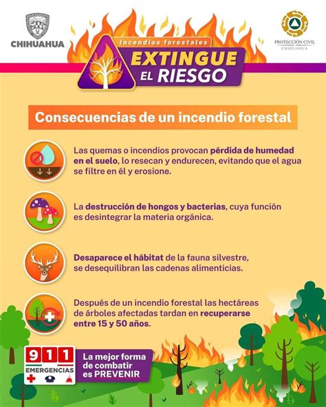 Lleva Protección Civil Estatal apoyos a combatientes de incendios forestales en la zona serrana ...