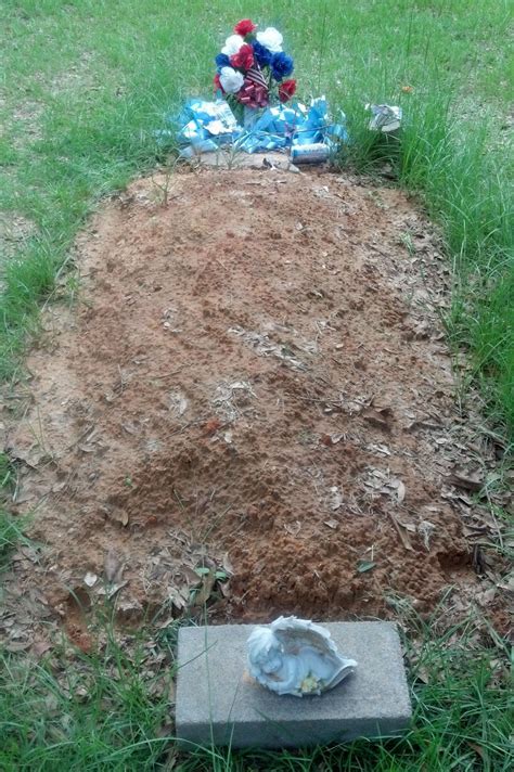 Possible unmarked grave discovered at Eight Mile cemetery (updated ...