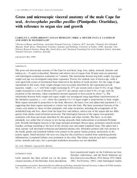 (PDF) Gross and microscopic visceral anatomy of the male Cape fur seal, Arctocephalus pusillus ...