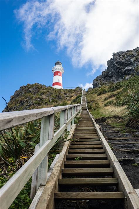 CAPE PALLISER, Lighthouse | Lighthouse, Palliser, Light in the dark