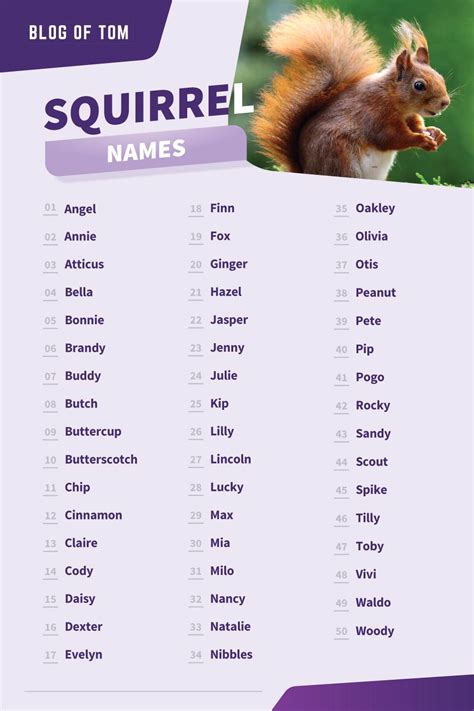 483 Squirrel Names (Awesome Male & Female Ideas)