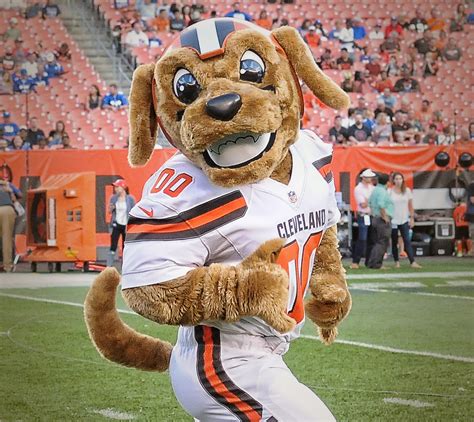 Browns Mascots | Cleveland Browns - clevelandbrowns.com