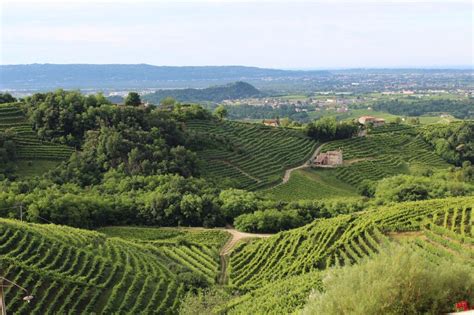 Getting to Know the Wines of the Veneto - Wine4Food