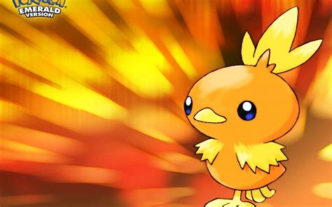 Torchic HD Wallpapers - Wallpaper Cave