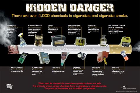 Effects of Smoking ~ MyClipta