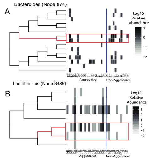 The abundance of monophyletic clades within phylotypes stratify... | Download Scientific Diagram