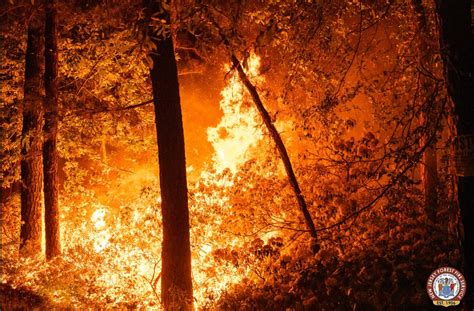 5,000-acre N.J. wildfire is now 80% contained, fire service says - nj.com