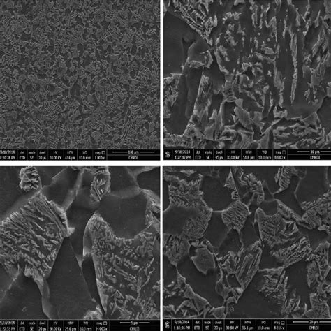 Ferrite-Pearlite Microstructure under Optical Microscope | Download Scientific Diagram