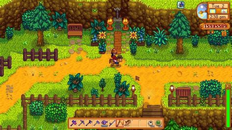 Stardew Valley 442 :: Backwoods Decorations - YouTube