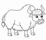 40  Yak Coloring Pages Free Printable PDF & Online sketch template