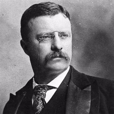 😍 Theodore roosevelt best president. Theodore Roosevelt’s Biggest Mistake. 2022-10-08